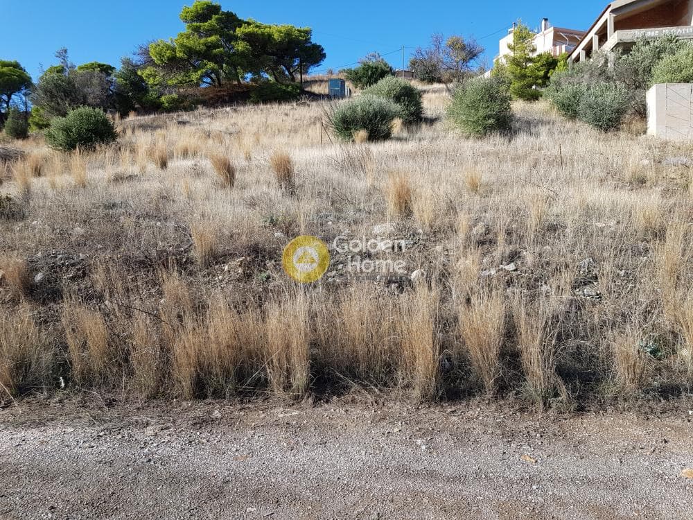 Οικόπεδο στην Άγιος Γεώργιος Θορικού, Λαύριο — Φωτογραφία 4 από 10
