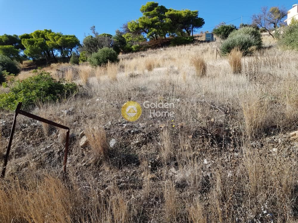 Οικόπεδο στην Άγιος Γεώργιος Θορικού, Λαύριο — Φωτογραφία 7 από 10