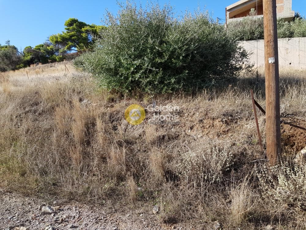 Οικόπεδο στην Άγιος Γεώργιος Θορικού, Λαύριο — Φωτογραφία 8 από 10