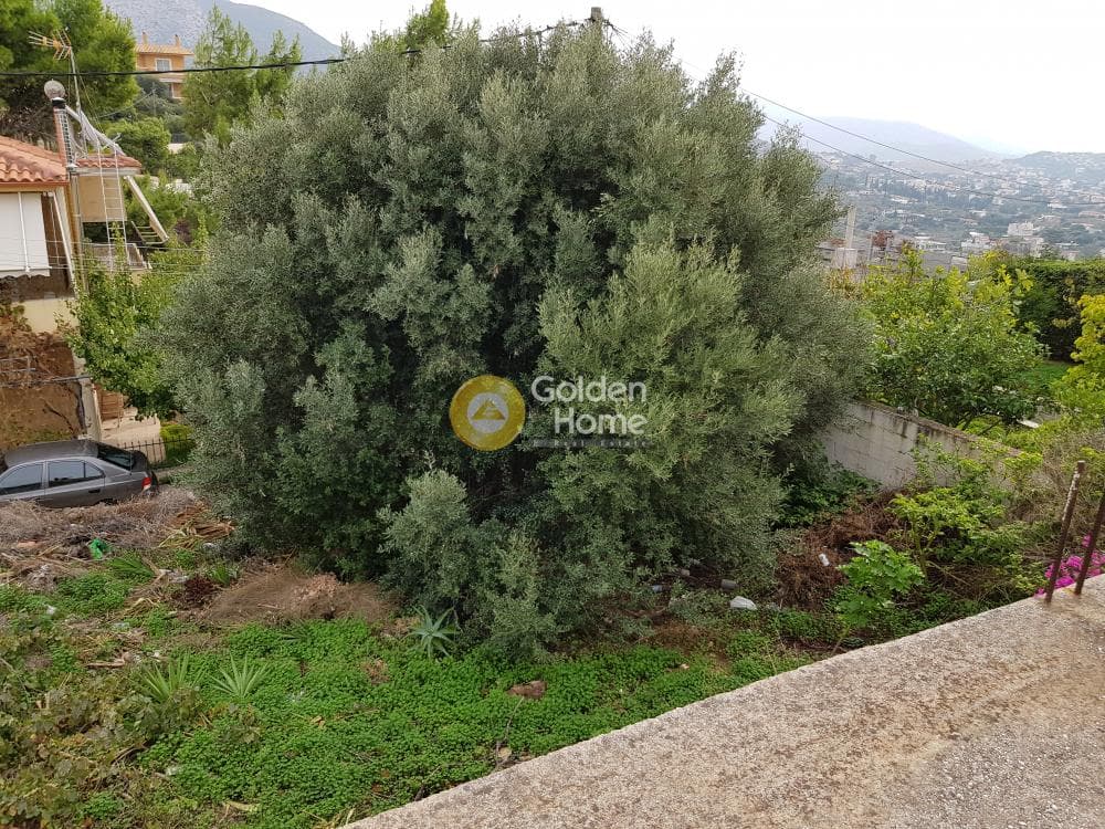 Parcel in Galazia akti, Kalivia Thorikou — Photo 4 of 7