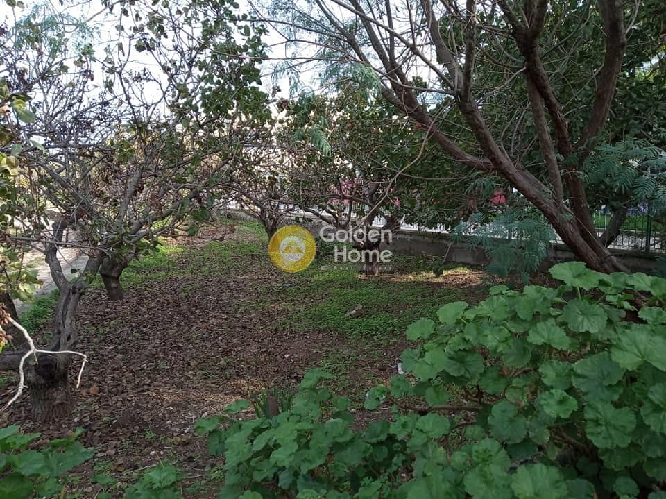 Building Plot in Kipseli, Aegina — Photo 1 of 14