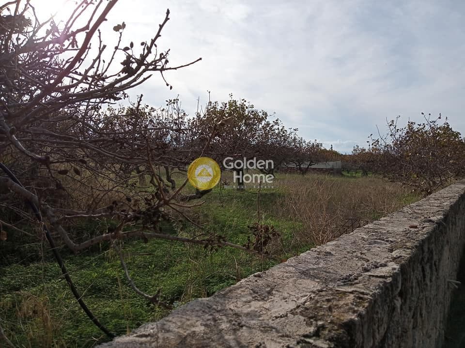 Building Plot in Kipseli, Aegina — Photo 8 of 14