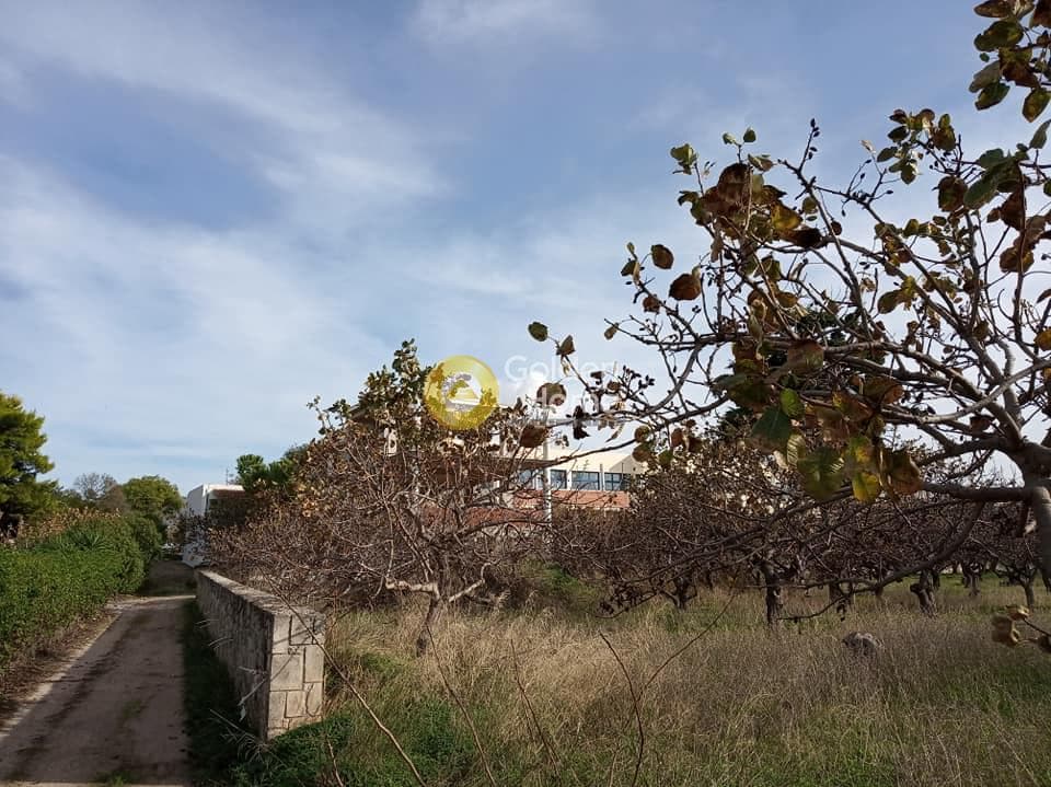 Building Plot in Kipseli, Aegina — Photo 9 of 14