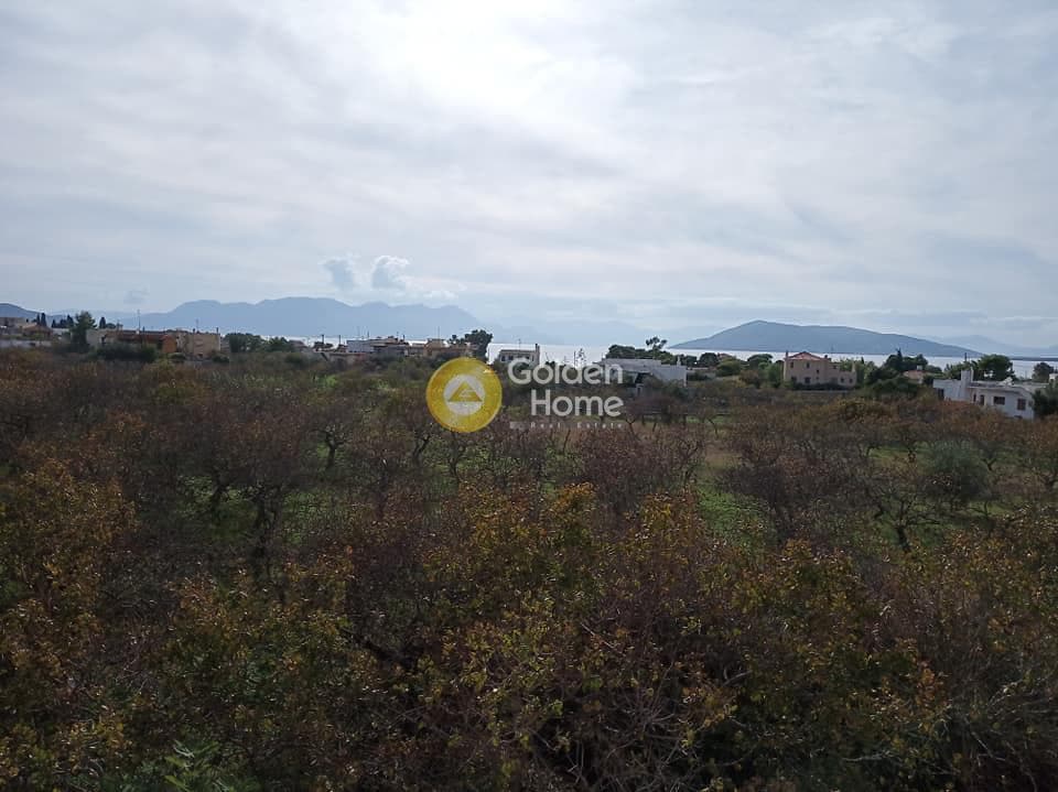 Building Plot in Kipseli, Aegina — Photo 10 of 14
