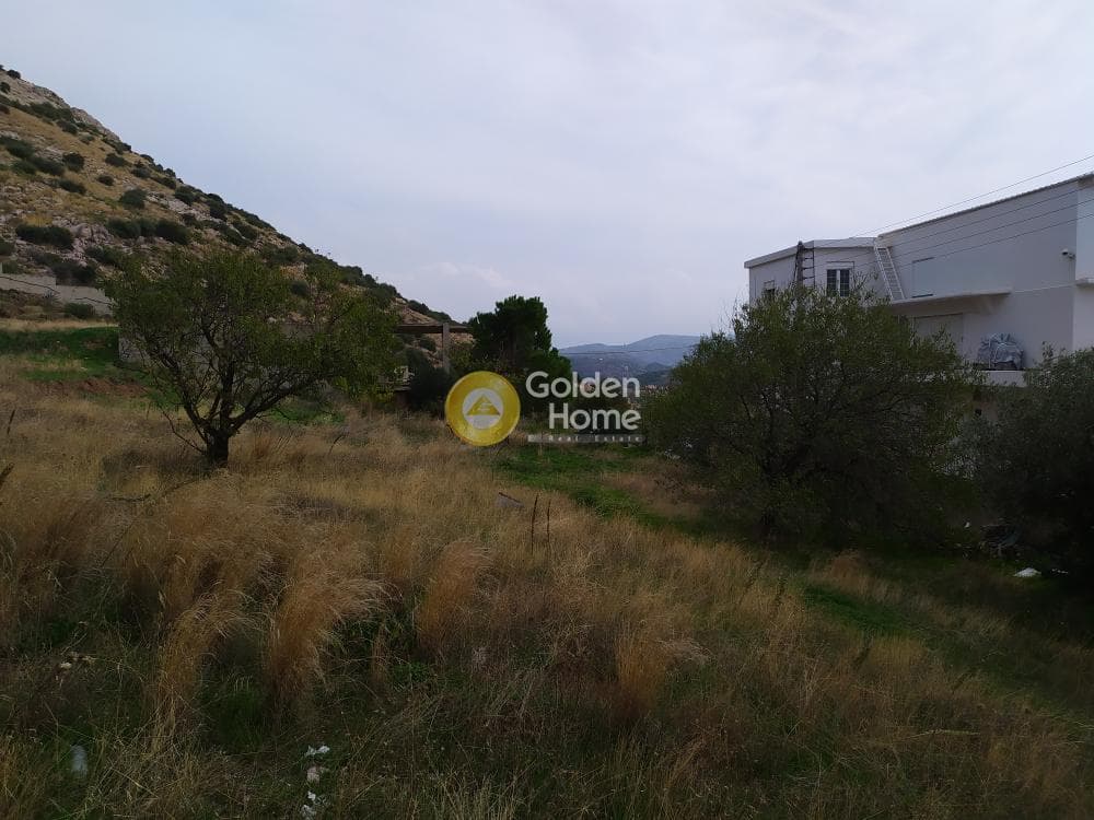 Building Plot in Kalivia, Kalivia Thorikou — Photo 6 of 6