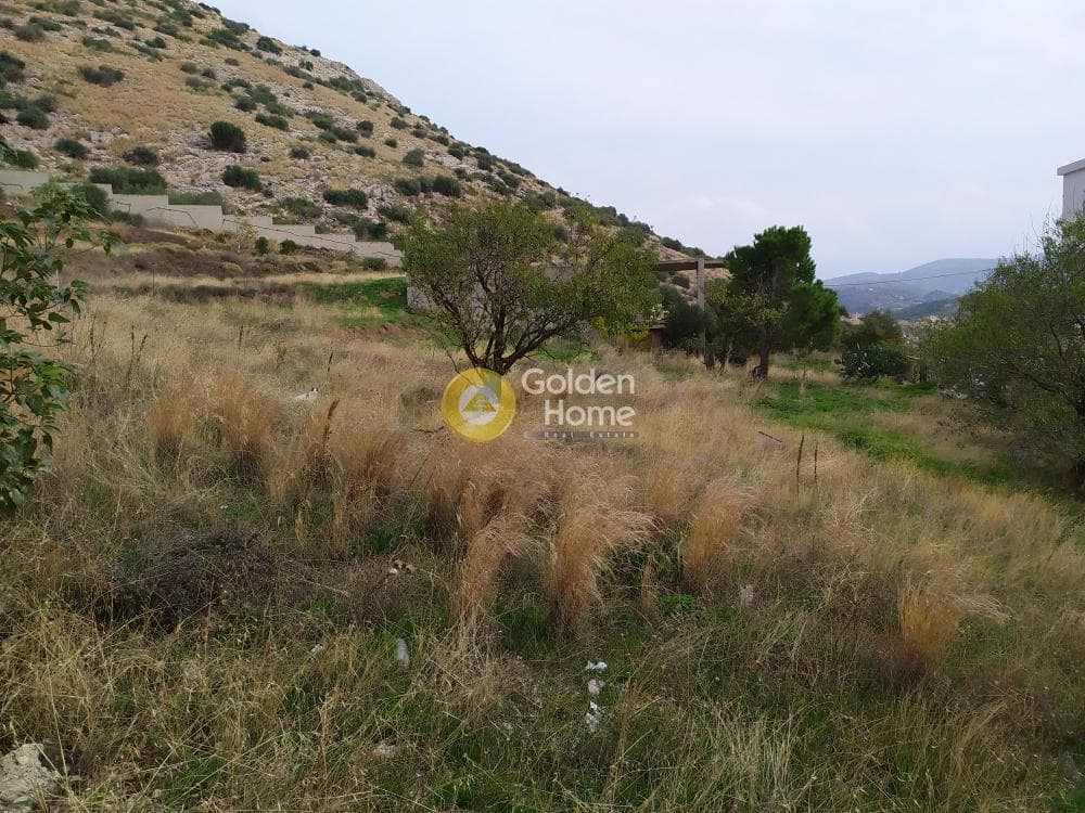 Building Plot in Kalivia, Kalivia Thorikou — Photo 2 of 6