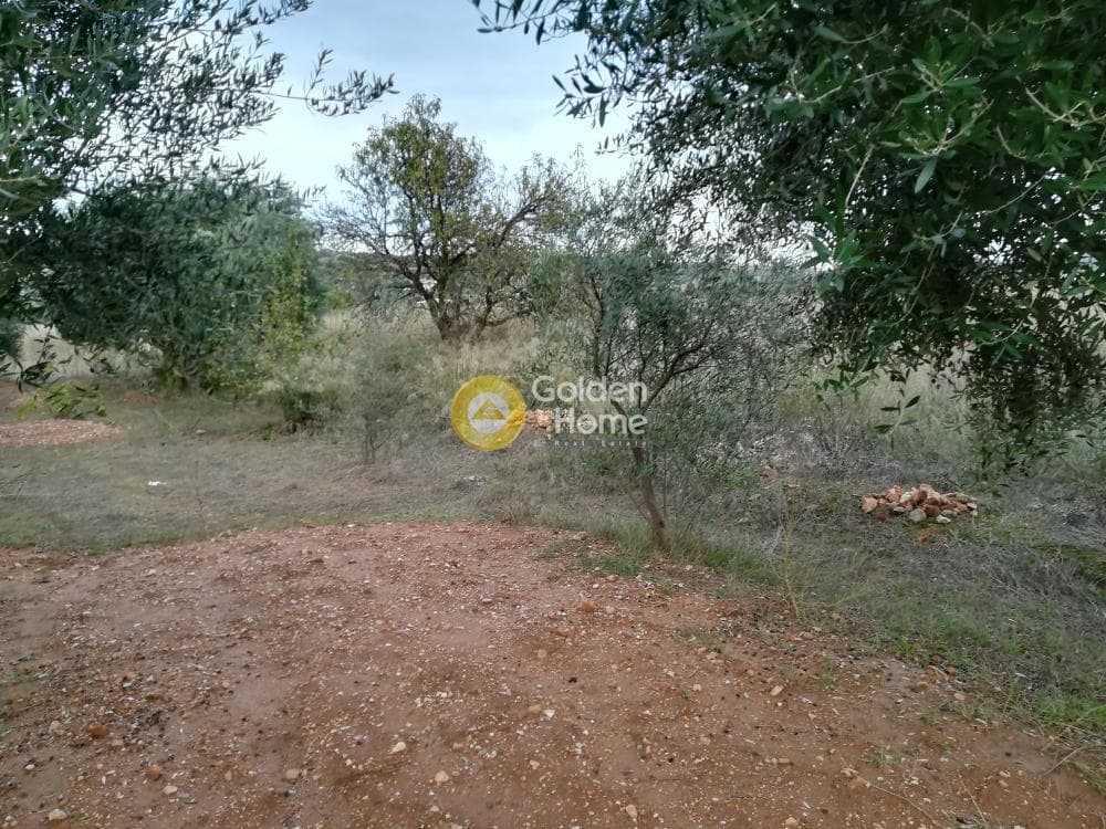 Parcel in Lamprika, Koropi — Photo 3 of 5