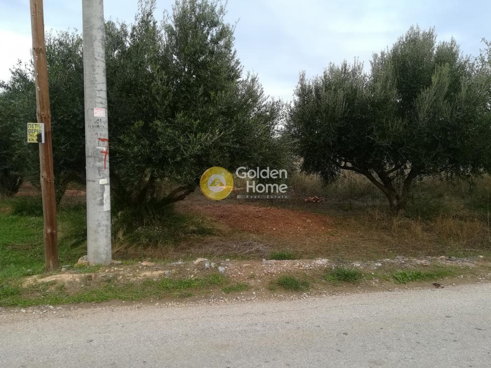 Parcel in Lamprika, Koropi — Photo 4 of 5