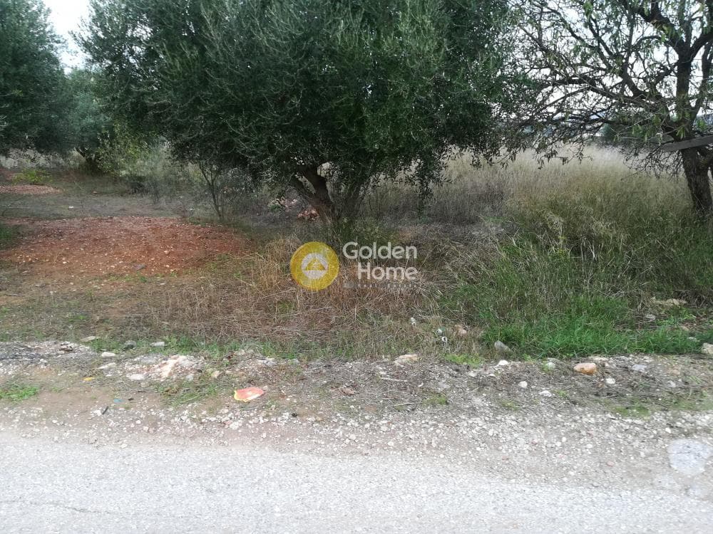 Parcel in Lamprika, Koropi — Photo 5 of 5