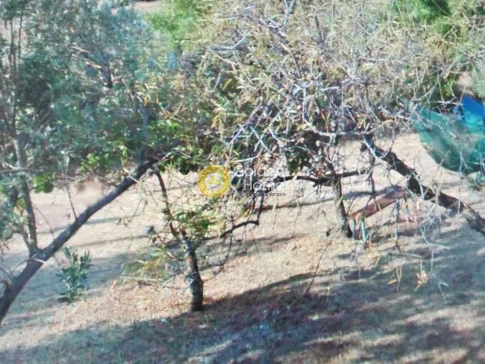 Οικόπεδο στην Πόρτο Εννιά, Κερατέα — Φωτογραφία 3 από 4