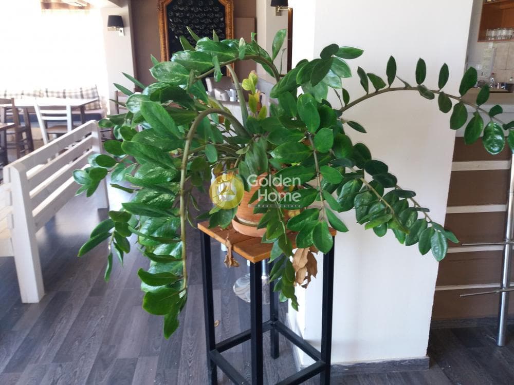 House in Saronida, Saronida — Photo 4 of 6