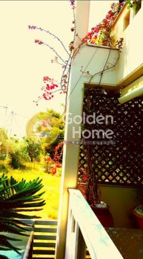 House in Center, Vrilissia — Photo 10 of 15