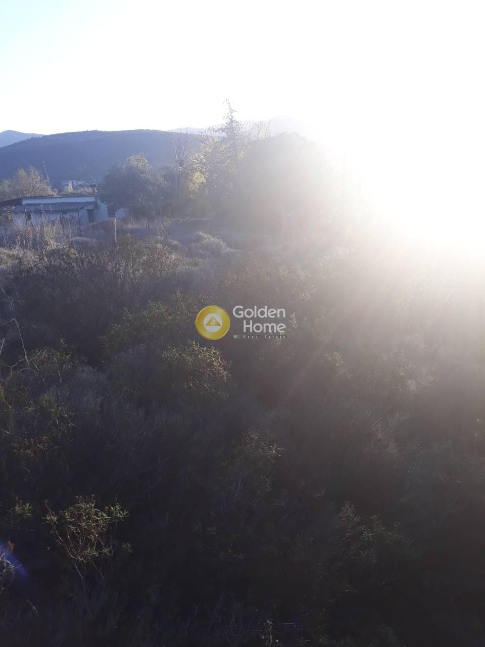 Οικόπεδο στην Άνω Σούλι, Γραμματικό — Φωτογραφία 3 από 3