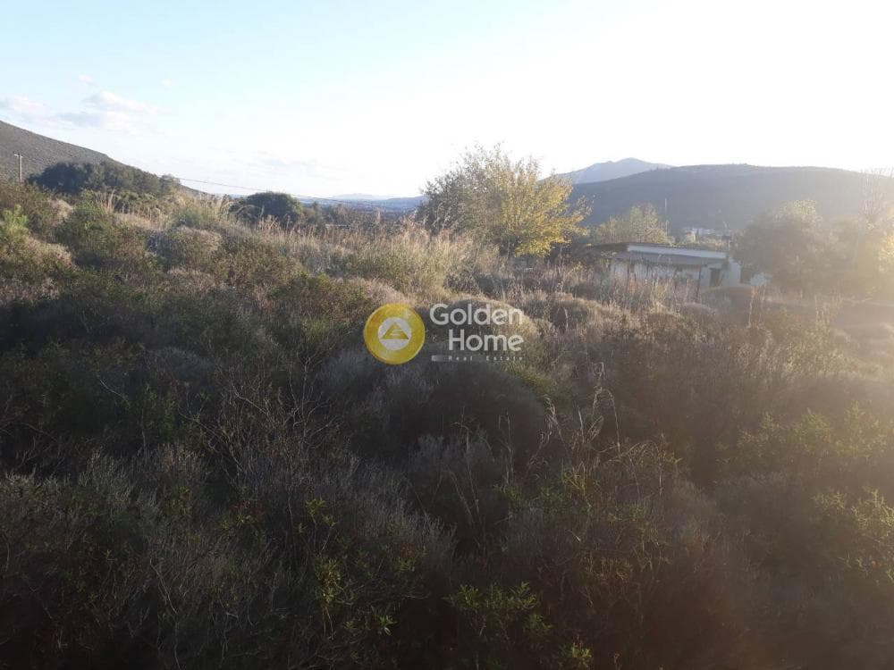 Οικόπεδο στην Άνω Σούλι, Γραμματικό — Φωτογραφία 2 από 3