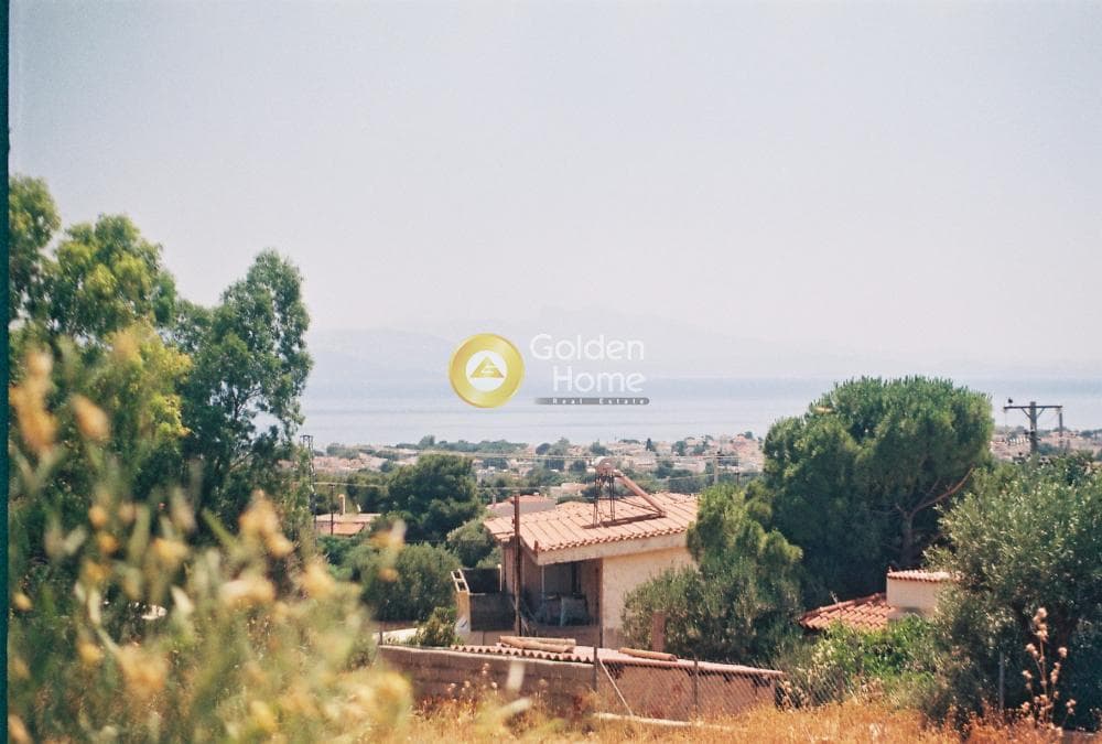 House in Agios Andreas, Nea Makri — Photo 17 of 28