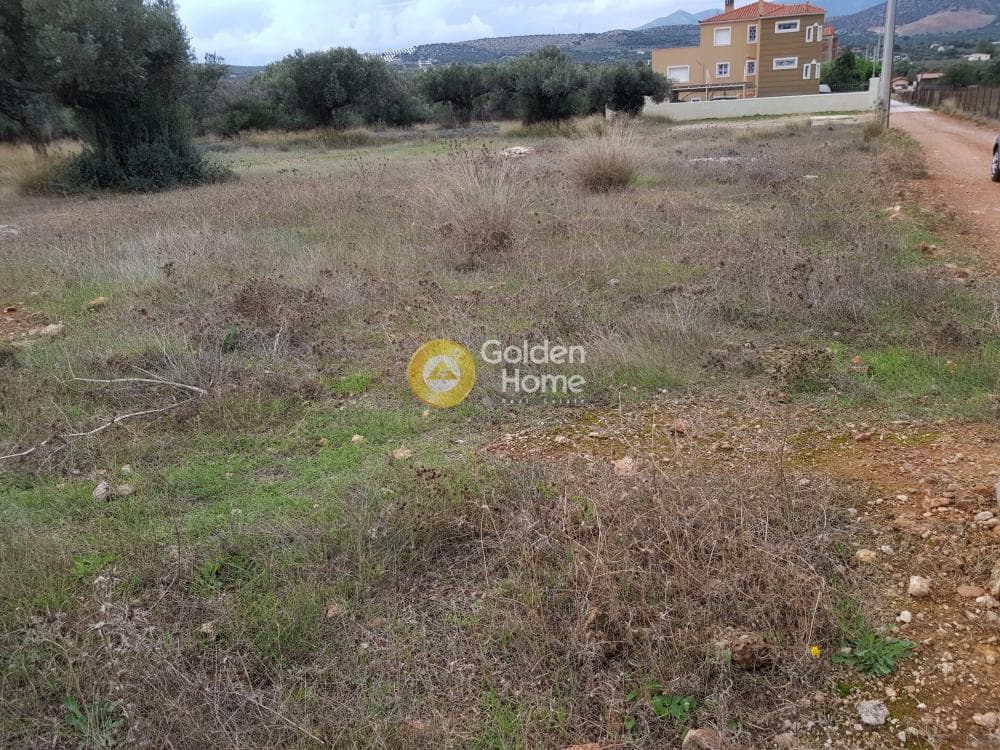 Μονοκατοικία στην Κεφλαίικα, Καλύβια Θορικού — Φωτογραφία 5 από 5