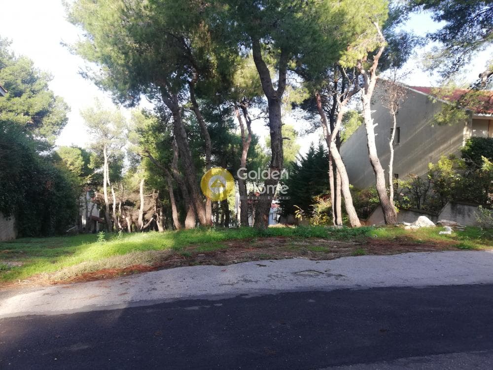 Building Plot in Rodopoli, Rodopoli — Photo 1 of 4