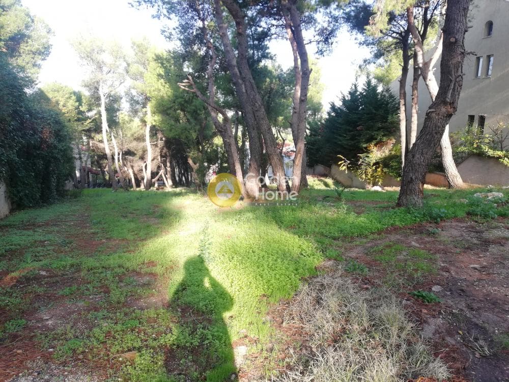 Building Plot in Rodopoli, Rodopoli — Photo 2 of 4