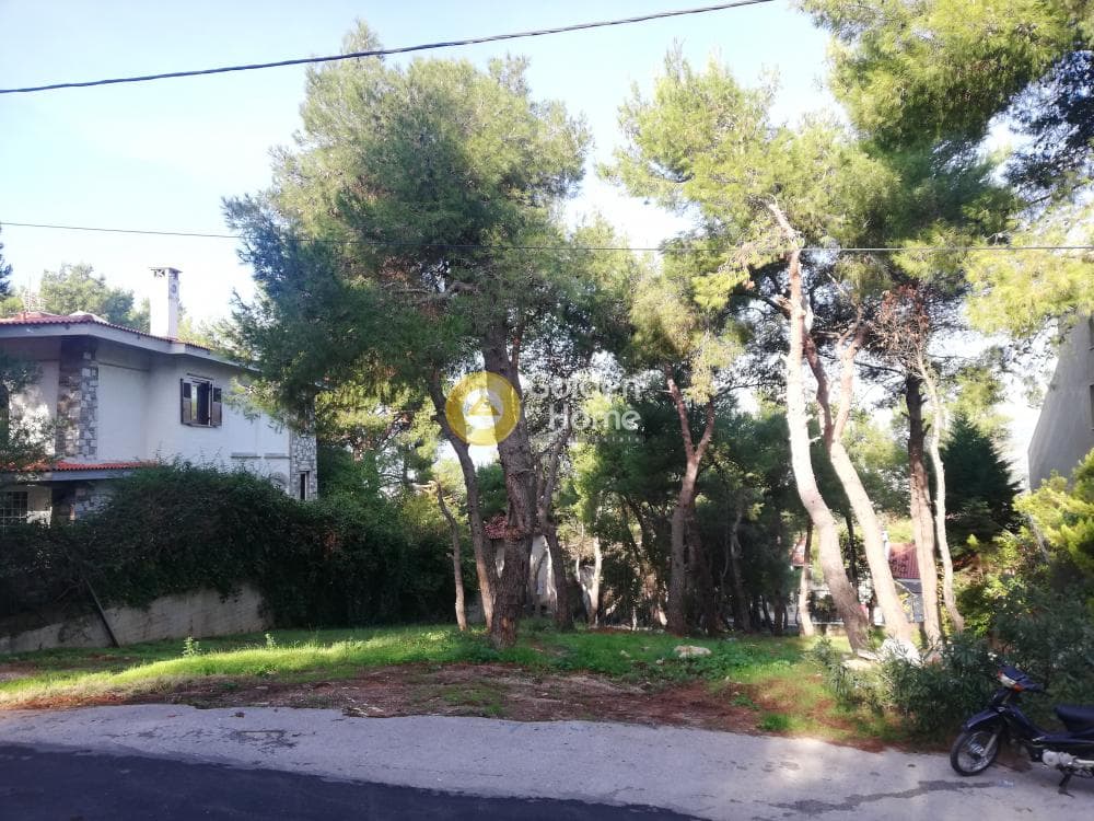 Building Plot in Rodopoli, Rodopoli — Photo 3 of 4