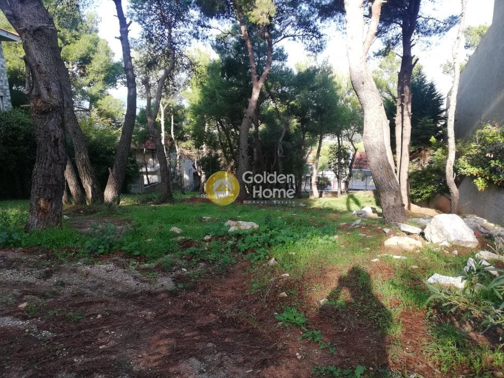 Building Plot in Rodopoli, Rodopoli — Photo 4 of 4