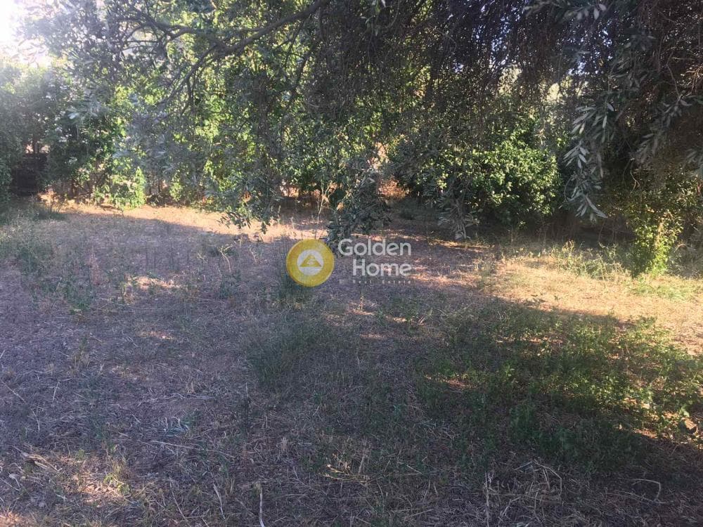 Μονοκατοικία στην Λόφος Ξελαφτάκι, Καλύβια Θορικού — Φωτογραφία 14 από 22