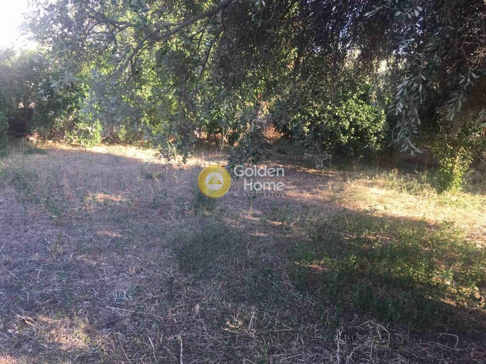 Μονοκατοικία στην Λόφος Ξελαφτάκι, Καλύβια Θορικού — Φωτογραφία 19 από 22