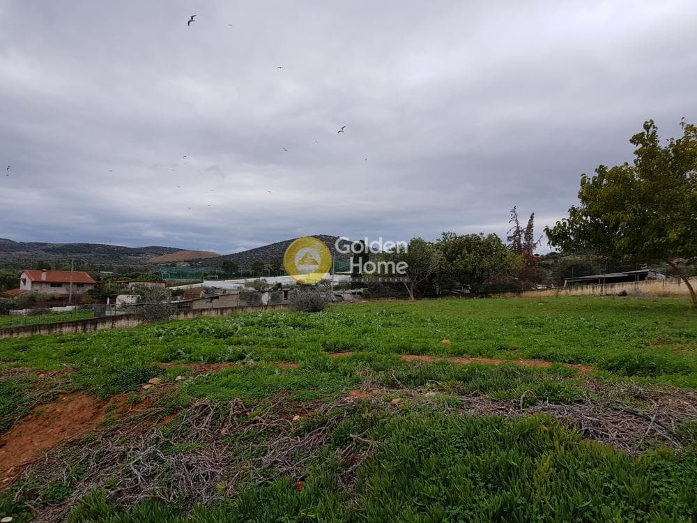 Μονοκατοικία στην Κεφλαίικα, Καλύβια Θορικού — Φωτογραφία 10 από 15