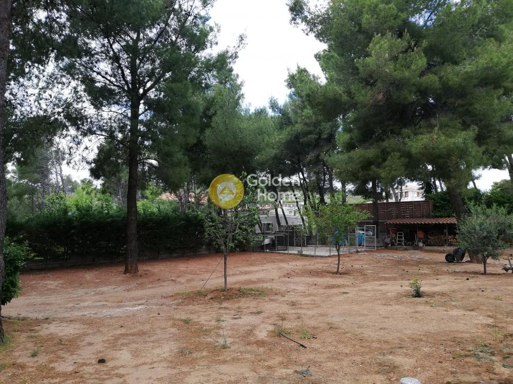 Οικόπεδο στην Καλλιθέα, Πεντέλη — Φωτογραφία 1 από 2