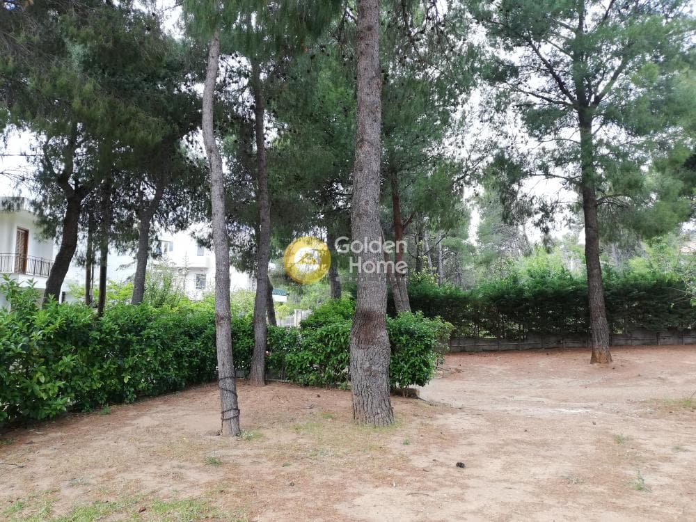 Οικόπεδο στην Καλλιθέα, Πεντέλη — Φωτογραφία 2 από 2
