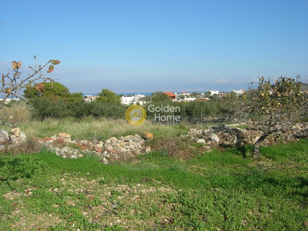 Οικόπεδο στην Κυψέλη, Αίγινα — Φωτογραφία 4 από 10