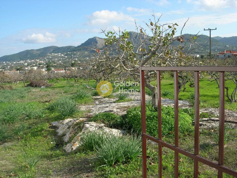 Οικόπεδο στην Κυψέλη, Αίγινα — Φωτογραφία 7 από 10