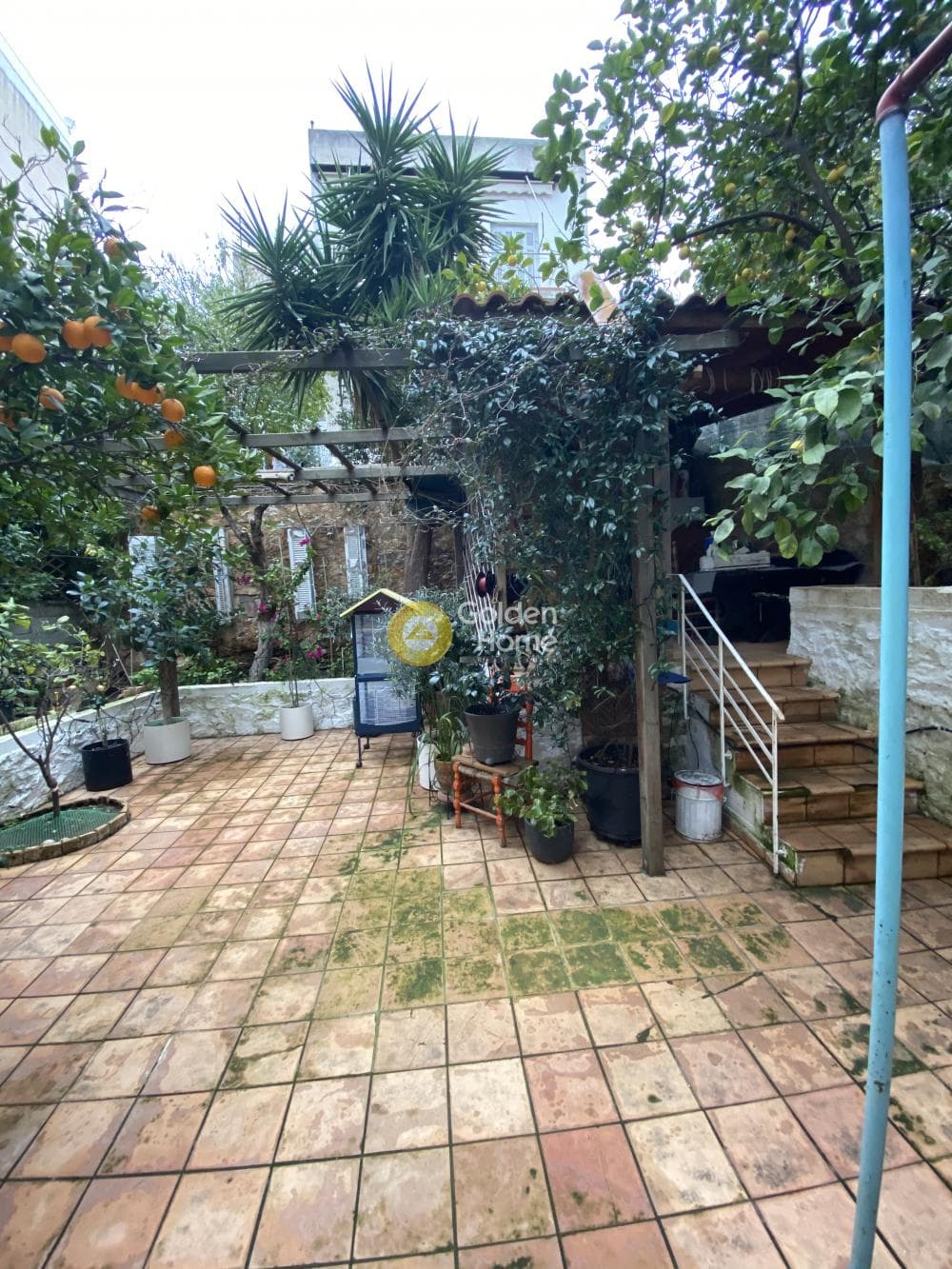 Μονοκατοικία στην Νέα Κυψέλη, Πολύγωνο - Τουρκοβούνια — Φωτογραφία 9 από 9