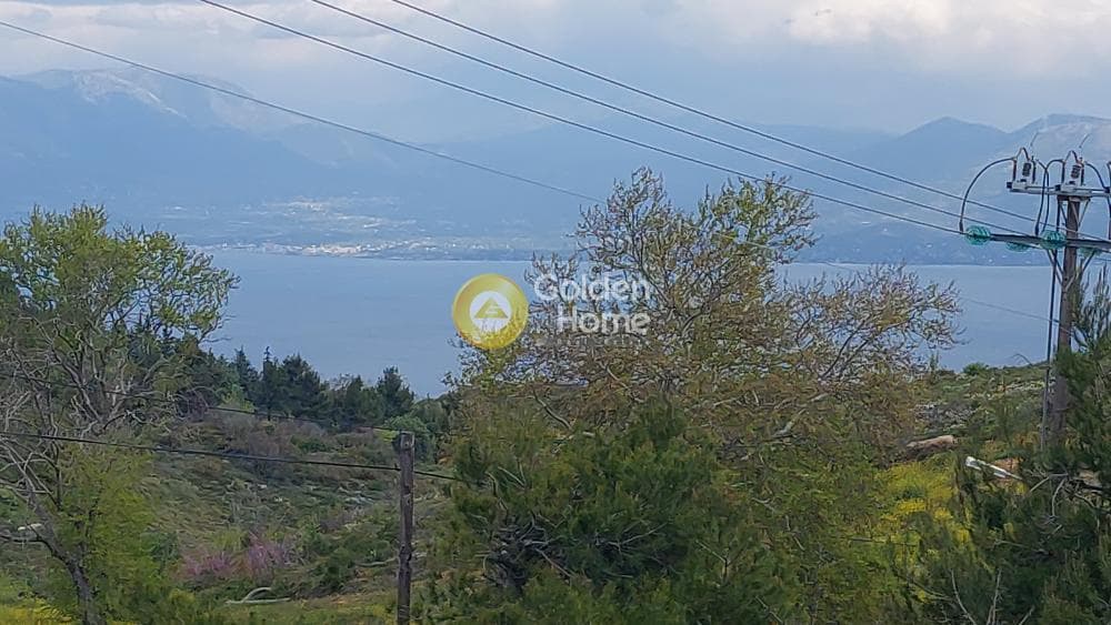 Μονοκατοικία στην Άγιοι Ανάργυροι, Κ. Καπανδριτίου — Φωτογραφία 2 από 29