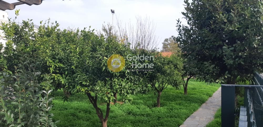 Μονοκατοικία στην Άγιος Παντελεήμονας, Νέα Μάκρη — Φωτογραφία 13 από 15
