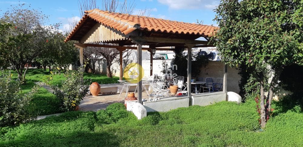 Μονοκατοικία στην Άγιος Παντελεήμονας, Νέα Μάκρη — Φωτογραφία 12 από 15