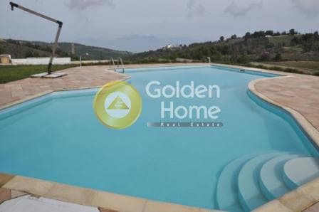 Μονοκατοικία στην Άγιοι Ανάργυροι, Κ. Καπανδριτίου — Φωτογραφία 20 από 29