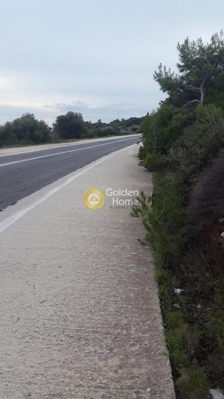 Αγροτεμάχιο στην Κέντρο, Λαύριο — Φωτογραφία 1 από 3