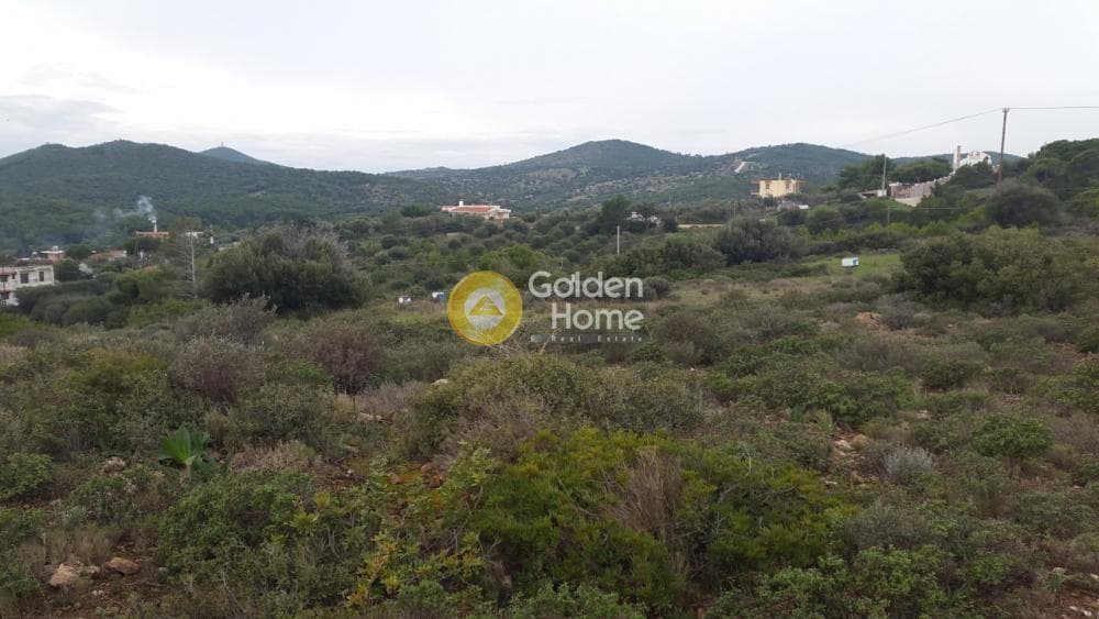 Αγροτεμάχιο στην Κέντρο, Λαύριο — Φωτογραφία 3 από 3