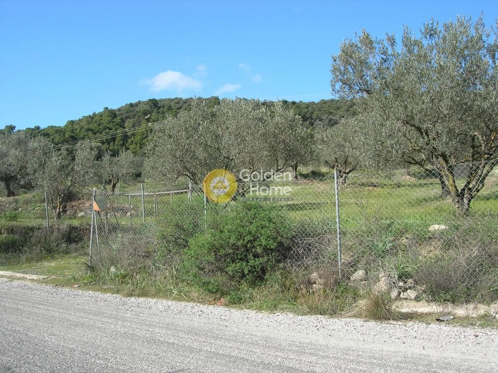 Parcel in Alones, Aegina — Photo 6 of 10