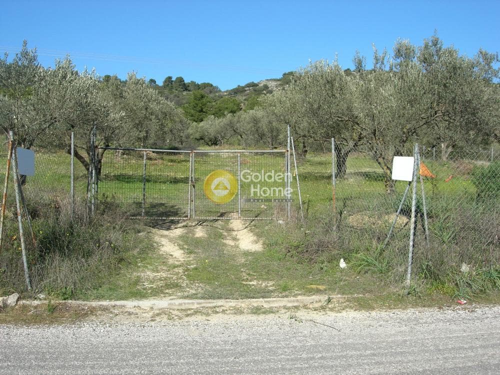 Parcel in Alones, Aegina — Photo 7 of 10