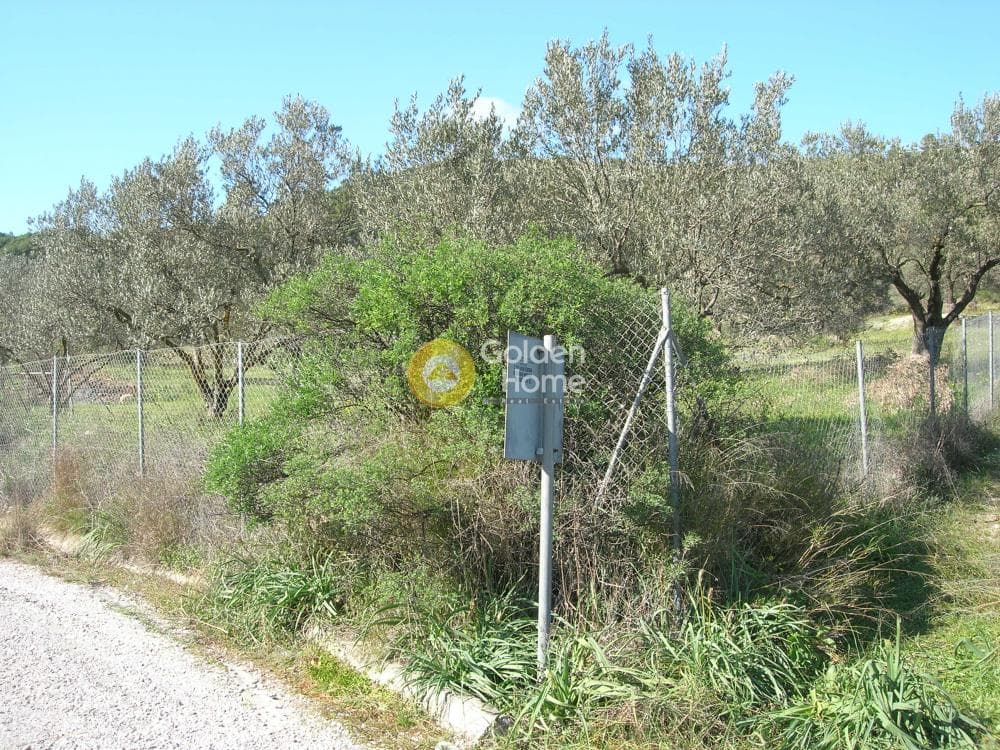 Parcel in Alones, Aegina — Photo 2 of 10