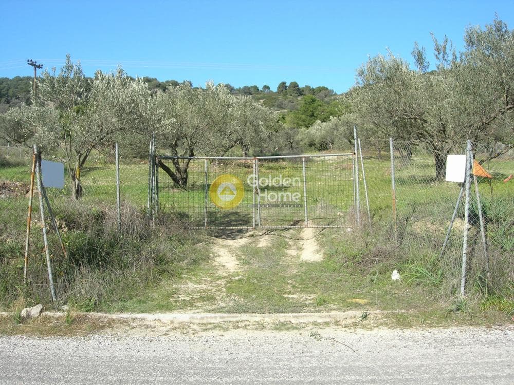 Parcel in Alones, Aegina — Photo 1 of 10