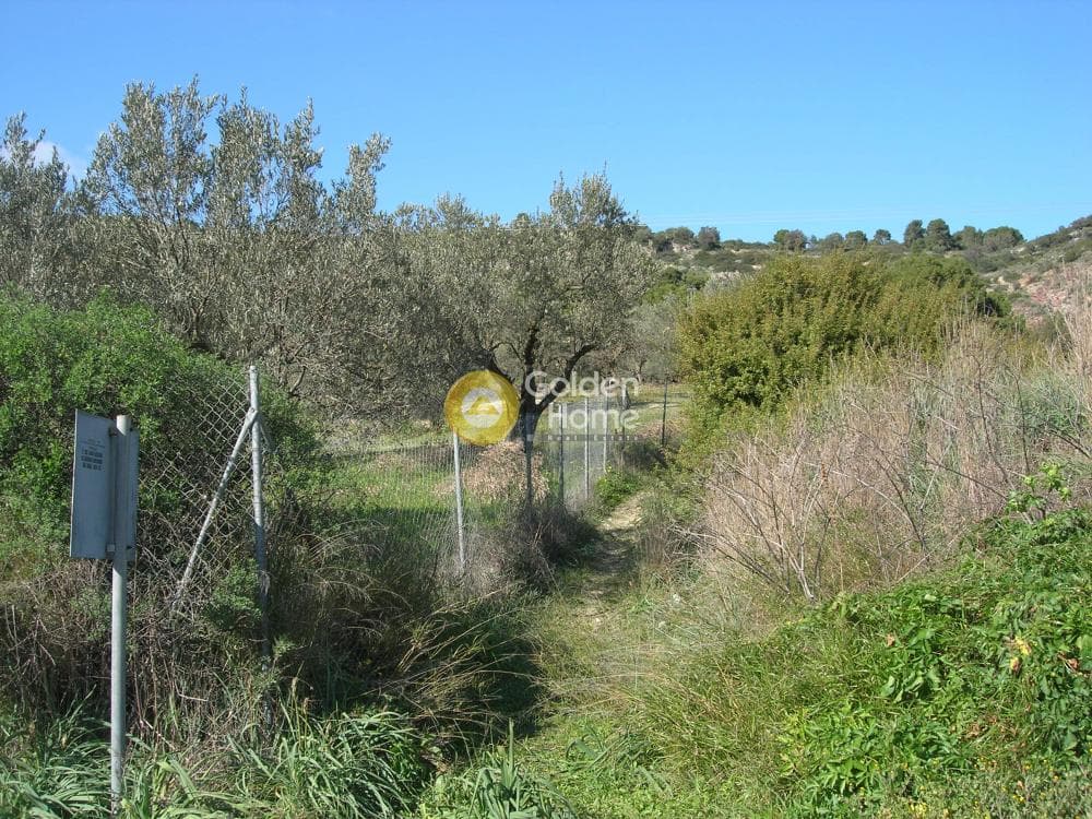 Parcel in Alones, Aegina — Photo 4 of 10