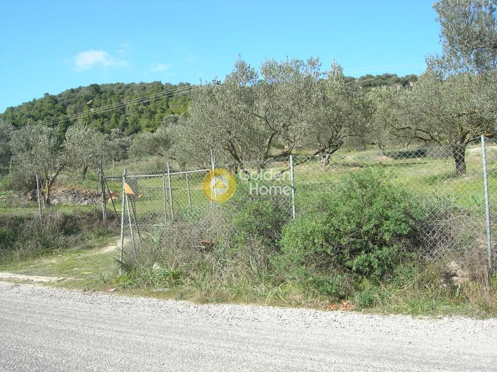Parcel in Alones, Aegina — Photo 5 of 10