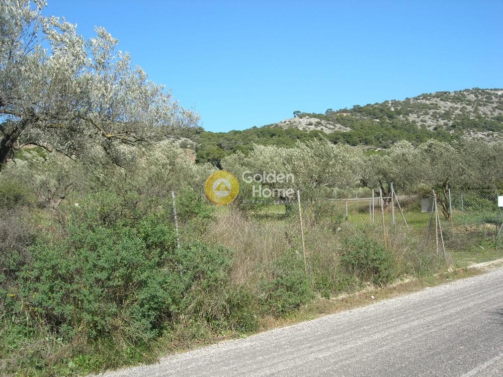 Parcel in Alones, Aegina — Photo 8 of 10