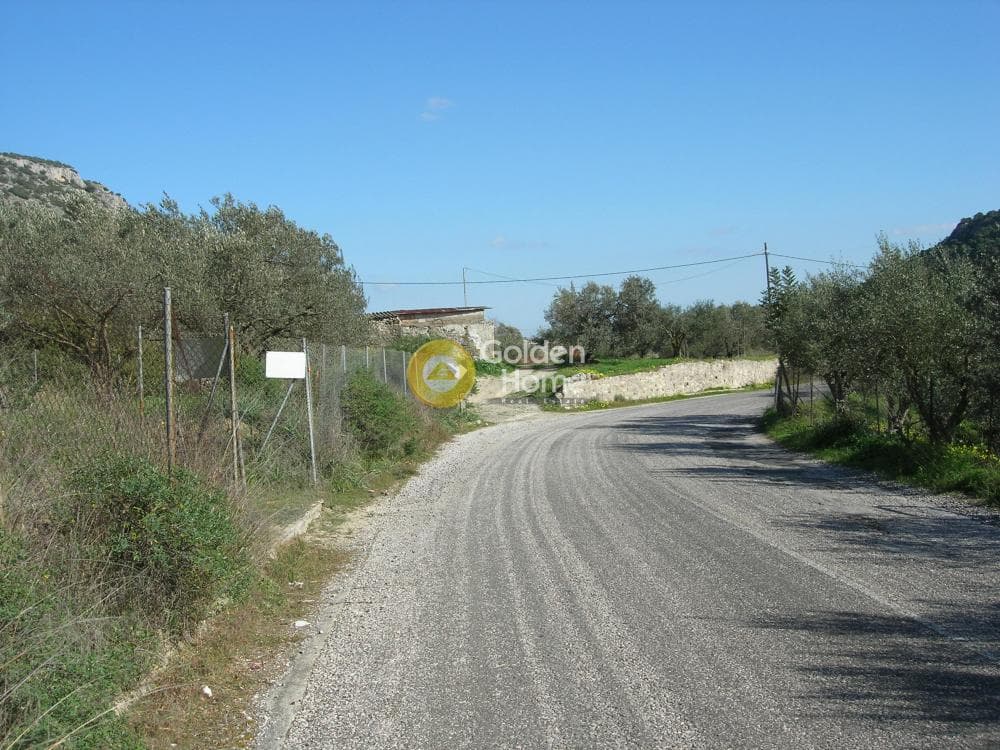 Parcel in Alones, Aegina — Photo 3 of 10
