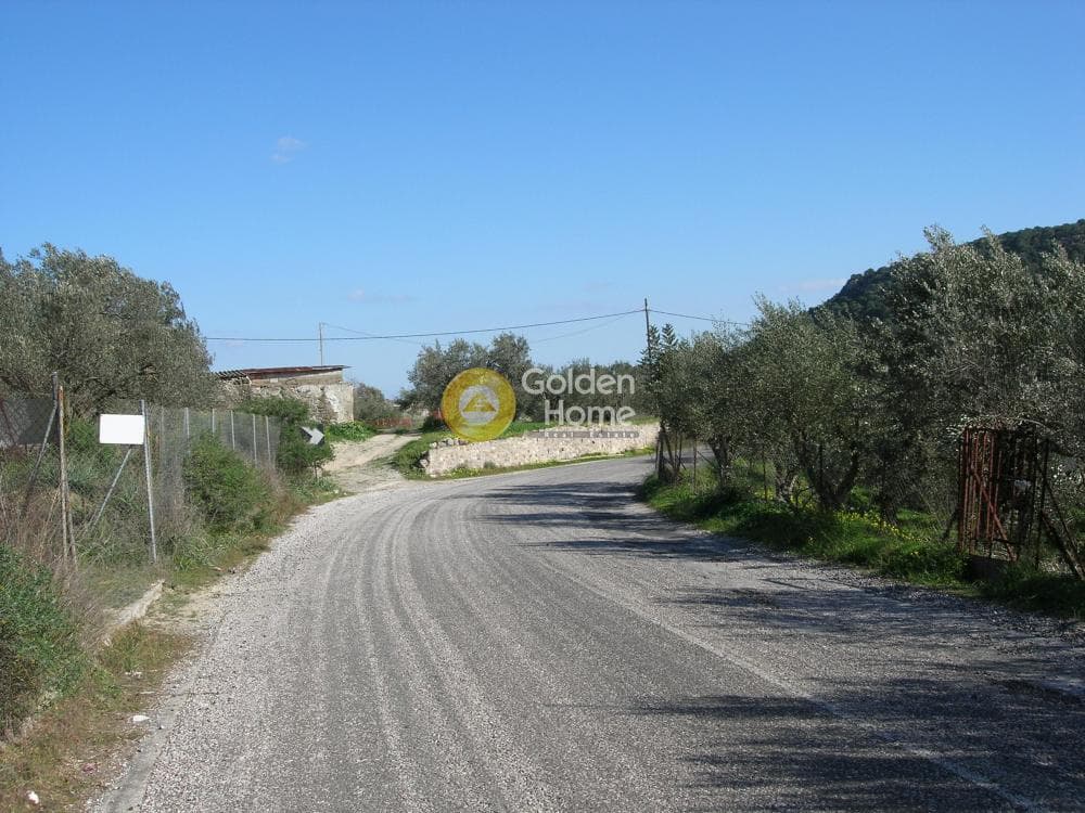 Parcel in Alones, Aegina — Photo 9 of 10