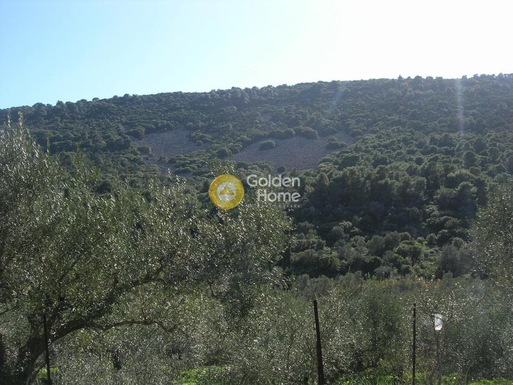 Parcel in Alones, Aegina — Photo 10 of 10