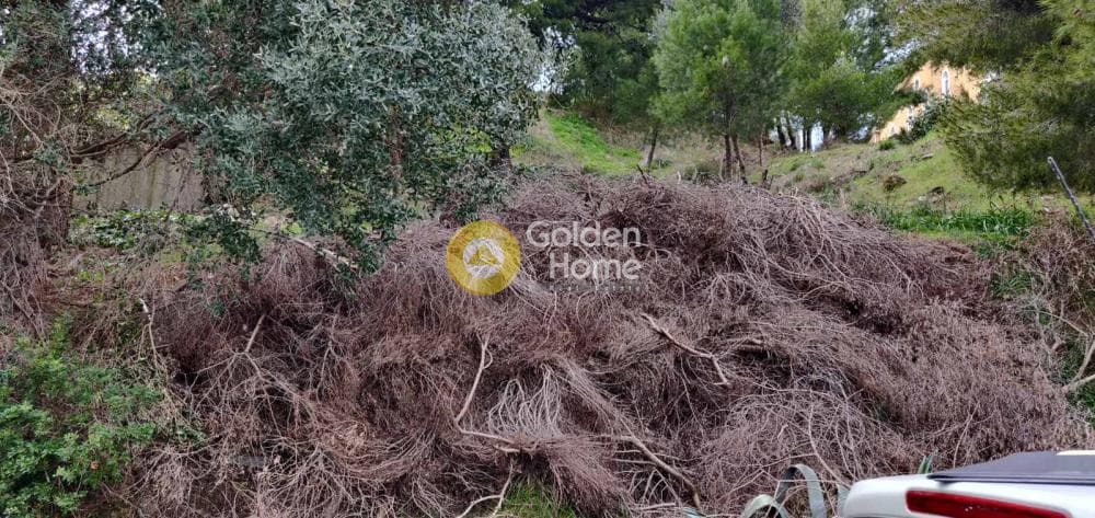 Μονοκατοικία στην Καρούζι, Παλλήνη — Φωτογραφία 24 από 28