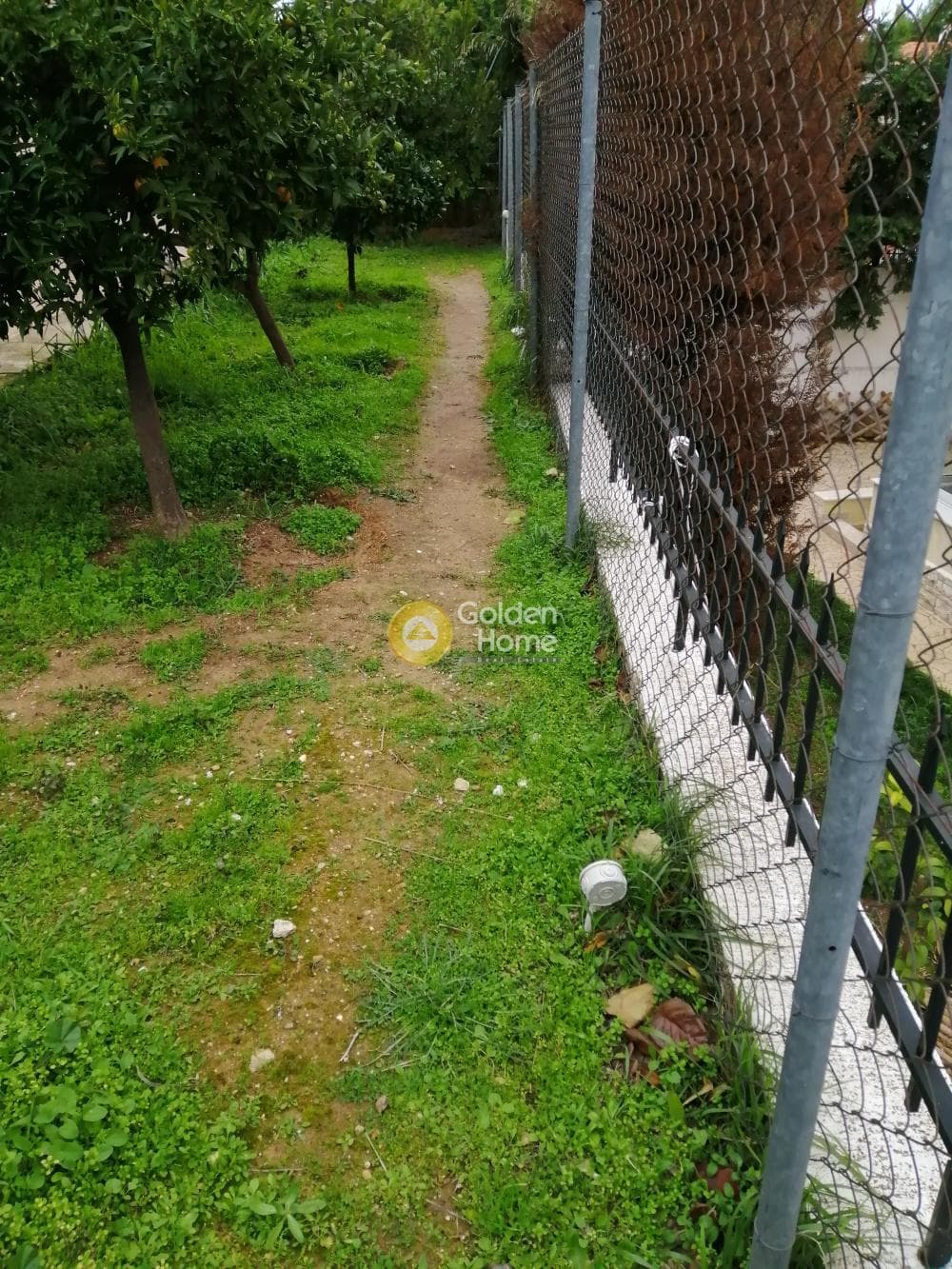 House in Megala Sxoinia A, Acharnes — Photo 2 of 32